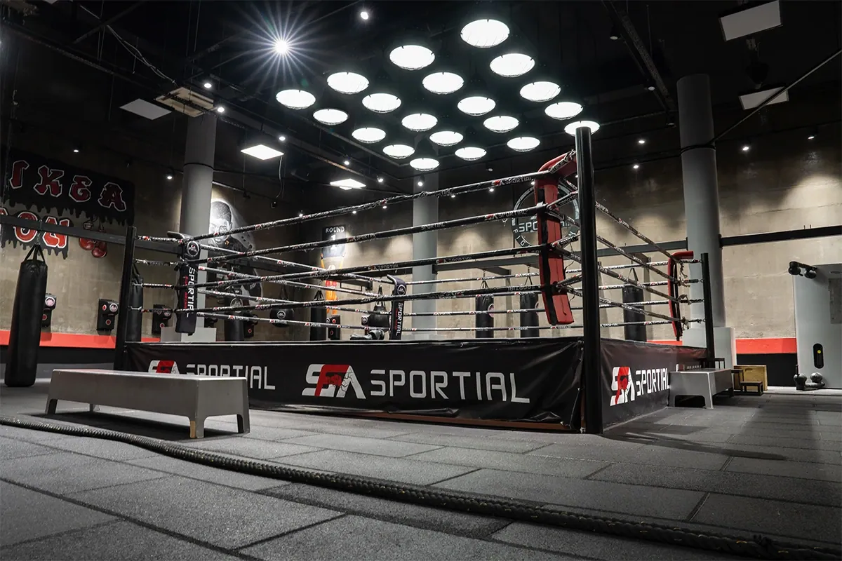 Fight Arena ve profesyonel boks ringi